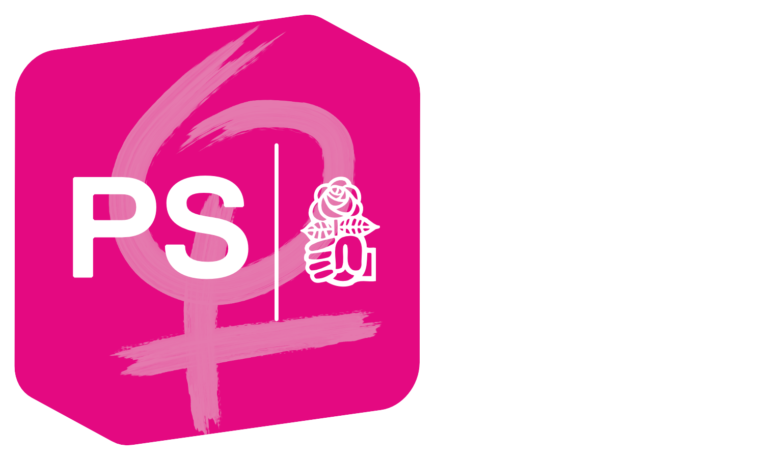 Bienvenue sur le site des Femmes socialistes vaudoises!